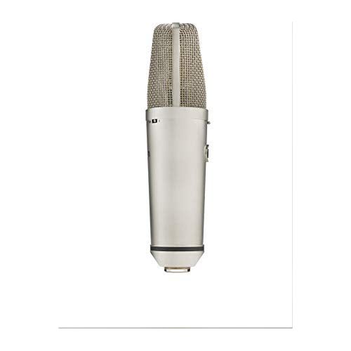 Warm Audio WA-87 R2 Large Diaphragm Condenser Microphone