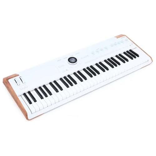 Arturia AstroLab Avant-garde 61-Key Stage Keyboard Bundle w/Pig hog PMID06 6ft MIDI Cable, Liquid Audio Sustain Pedal and Liquid Audio Polishing Cloth