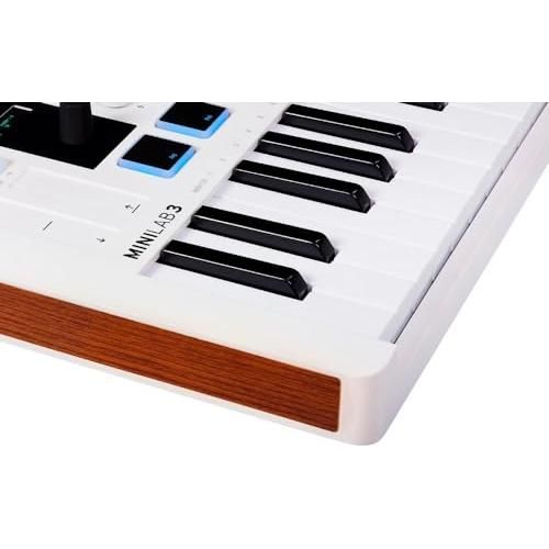 Arturia MiniLab 3 Mini Hybrid Keyboard Controller Bundle w/Omni Lavalier Mic, USB Cable & Liquid Audio Polishing Cloth