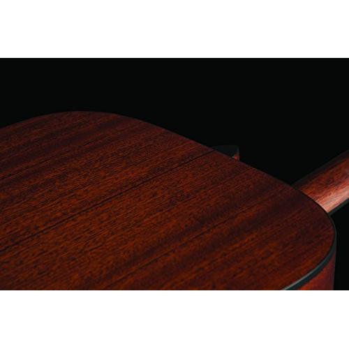 Jasmine Acoustic Guitar