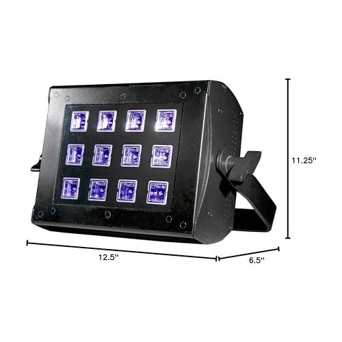 ADJ Products UV FLOOD 36 12 x 3w UV LED PANEL