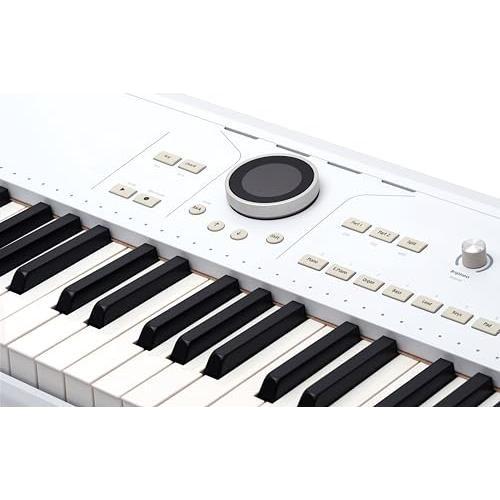 Arturia AstroLab 61-key Stage Keyboard