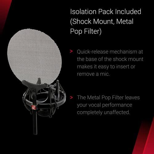 sE Electronics - Large Diaphram Condenser Microphones