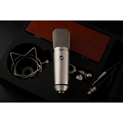 Warm Audio WA-87 R2 Large Diaphragm Condenser Microphone