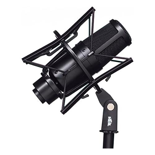 Heil Sound PR30B Large-Diaphragm Dynamic Microphone