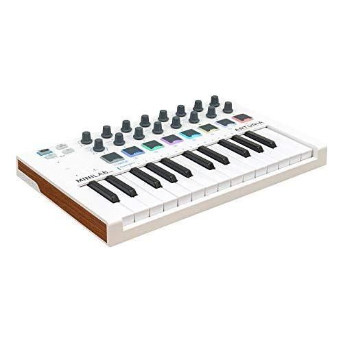 Arturia MiniLab MKII 25-Key MIDI Controller Keyboard WHITE and MIRFAK TU1 USB Microphone Professional Kit BUNDLE- Studio Setup for Recording Music at Home, Desk Microphone with Stand for PC and MAC