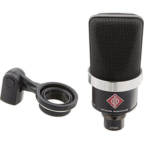 Neumann TLM 102 Large-Diaphragm Studio Condenser Microphone (Nickel)