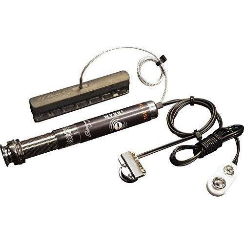 LR Baggs IBAS iBeam Active System with Volume Control for Steel String Guitar