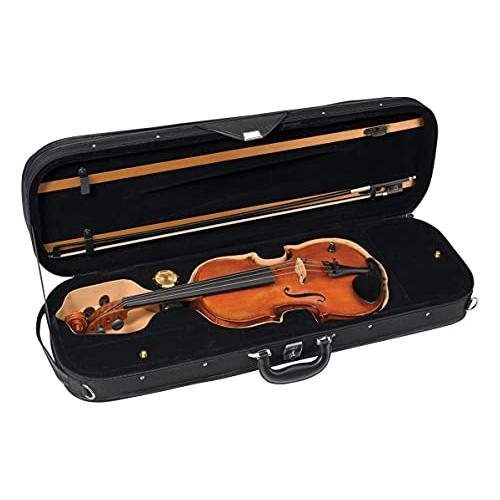 Barcus Berry, 4-String Electric Violin, Natural (BB100-EL)