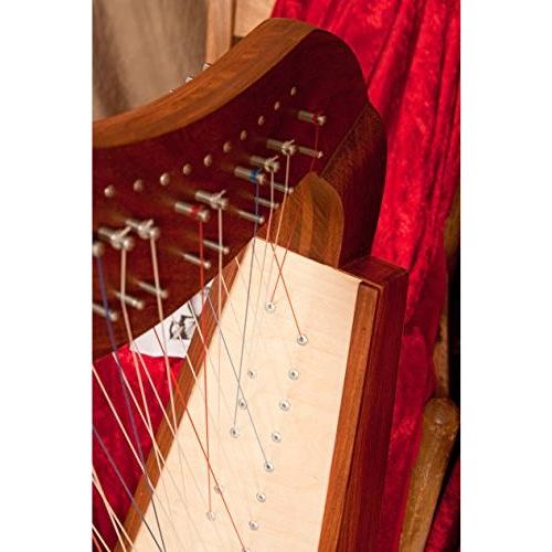 Caitlin Harp TM, Cross Strung Harp