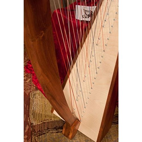 Caitlin Harp TM, Cross Strung Harp