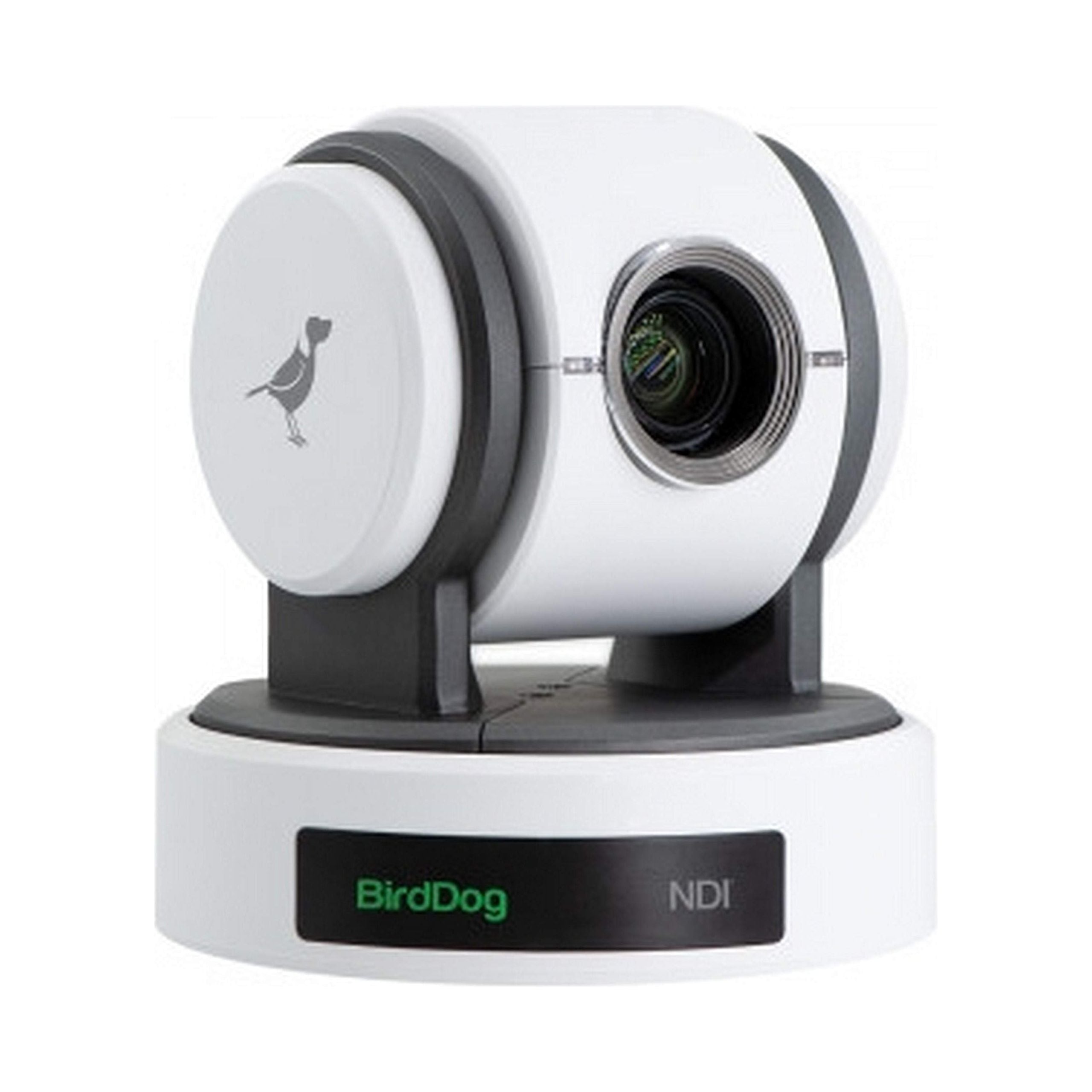 BirdDog Eyes P100 1080P Full NDI PTZ Camera with SDI, White