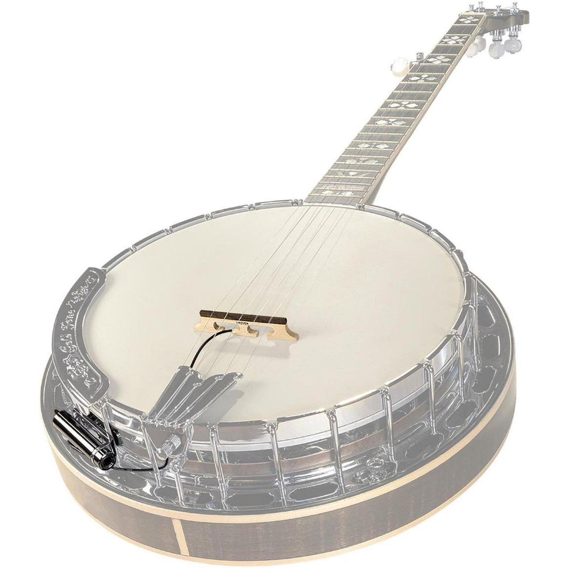 LR Baggs Banjo Pickup