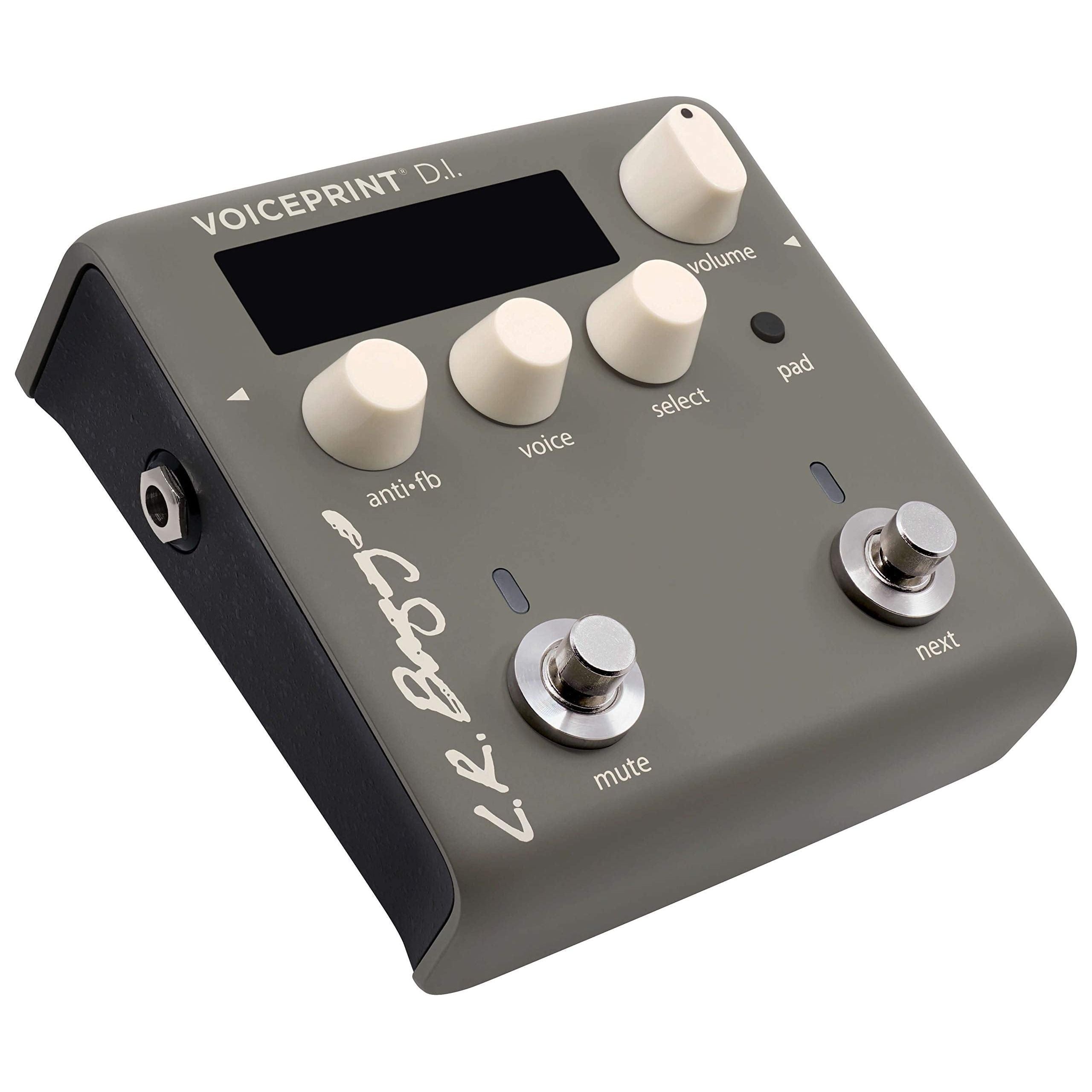 L.R. Baggs Voiceprint DI Acoustic Guitar Impulse Response Effects Pedal