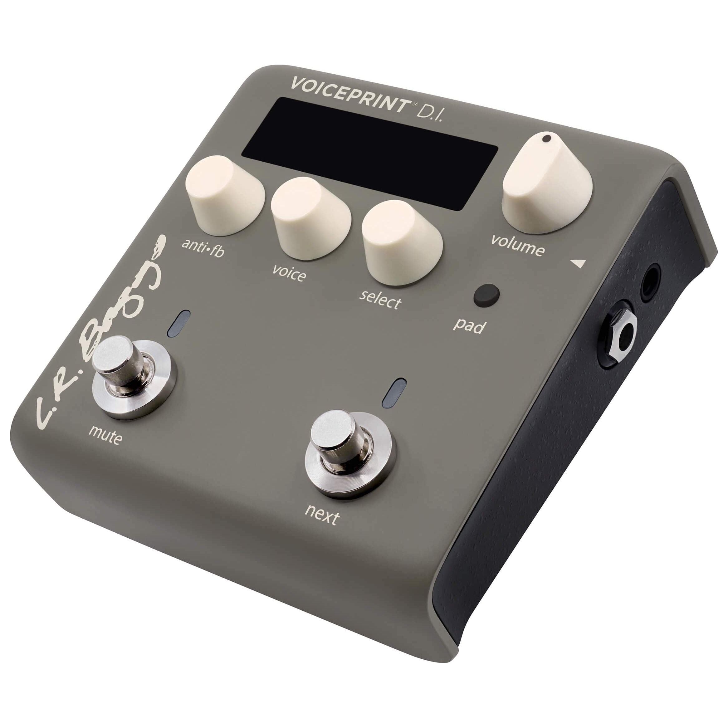 L.R. Baggs Voiceprint DI Acoustic Guitar Impulse Response Effects Pedal