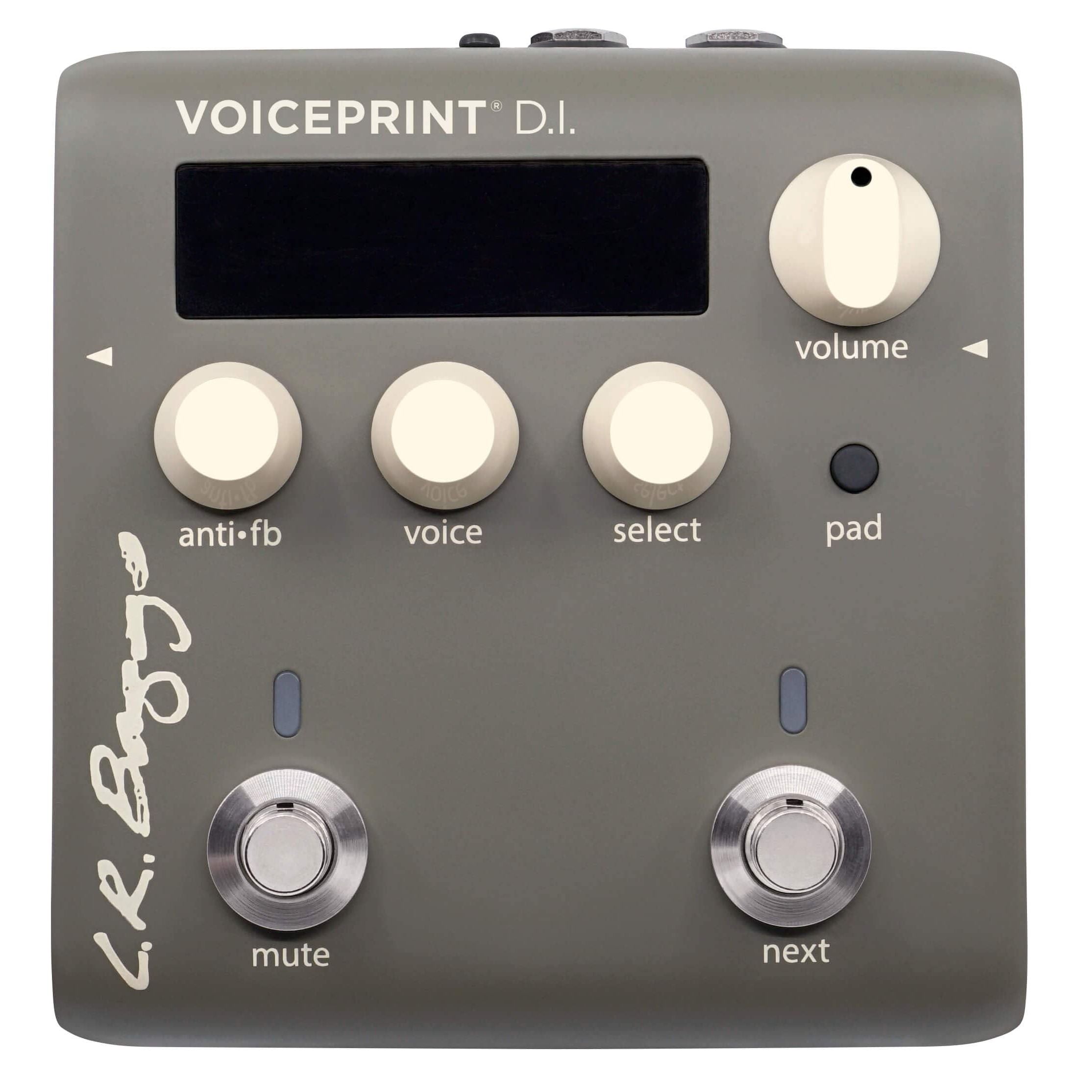 L.R. Baggs Voiceprint DI Acoustic Guitar Impulse Response Effects Pedal