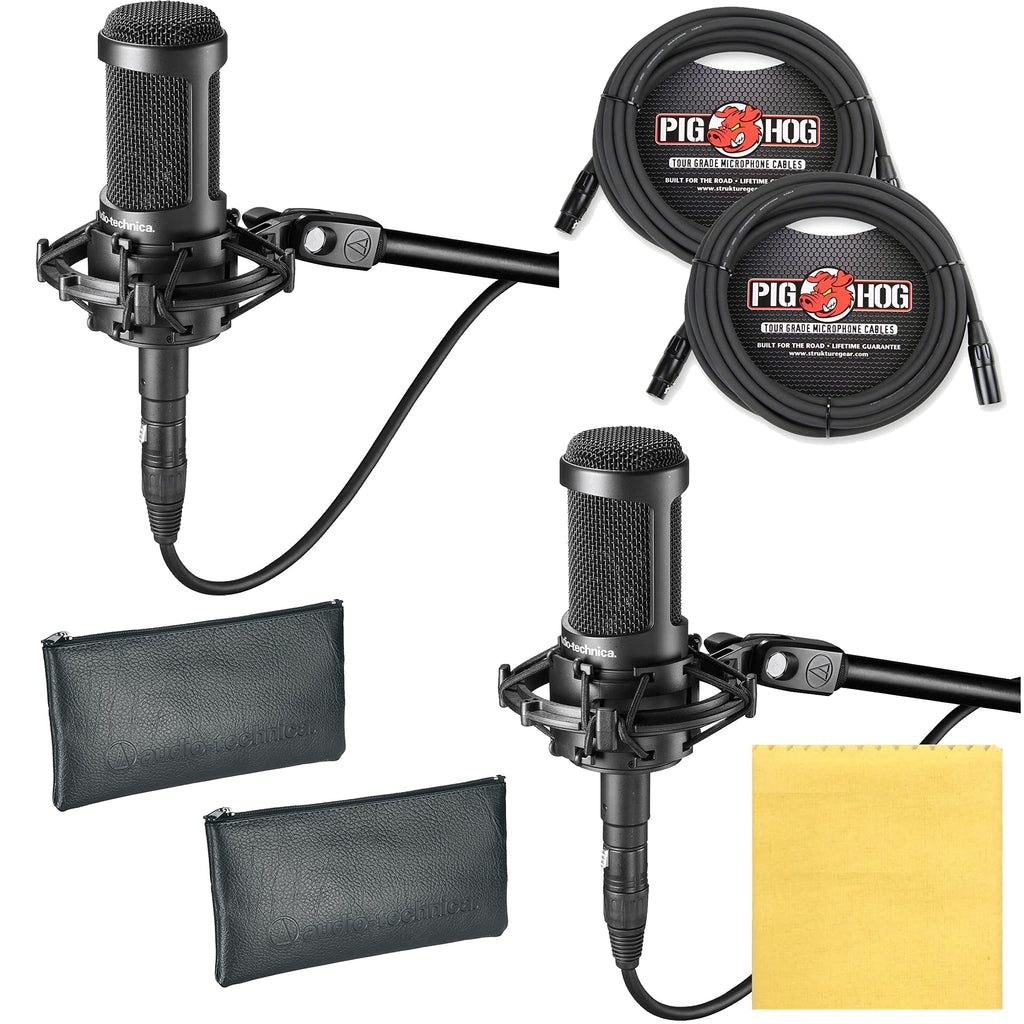 Audio-Technica AT2035 Cardioid Condenser Microphone 2-Pack Bundle with Shock Mount + 2 XLR Cables + Liquid Audio Polishing Cloth - Perfect for Studio & Podcasting