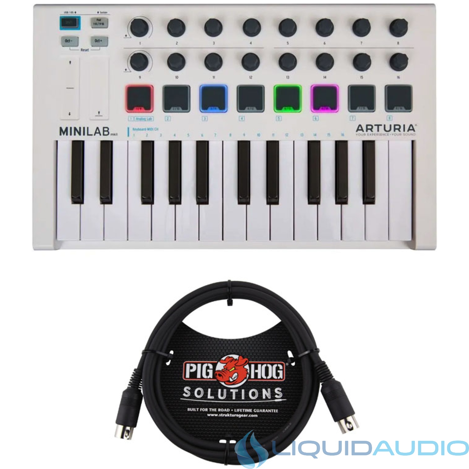 Arturia Minilab MKII Keyboard + Pig Hog MIDI Cable BUNDLE