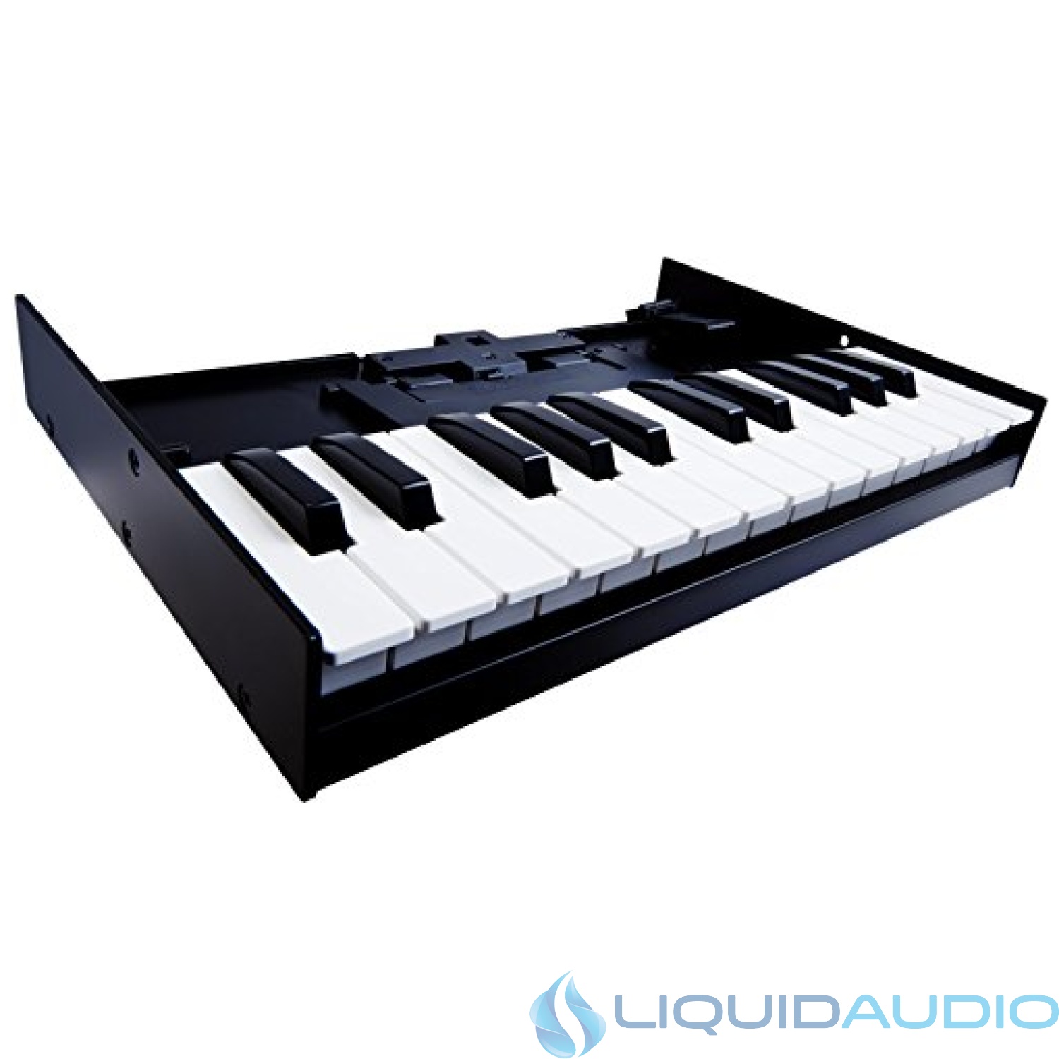 Roland K-25M Boutique Module Dock USB MIDI Keyboard, 12-Inch
